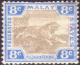Colnect-5135-144-Tiger-Panthera-tigris.jpg