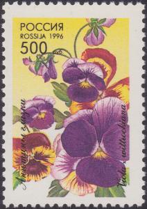 Colnect-1830-107-Pansies-Viola-wittrochiana.jpg