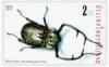 Colnect-418-780-Scarab-Beetle-Cheirotonus-parryi.jpg
