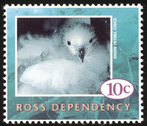 Colnect-2890-150-Snow-Petrel-Pagodroma-nivea.jpg