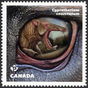 Colnect-3639-527-Cypretherium-coarctatum.jpg