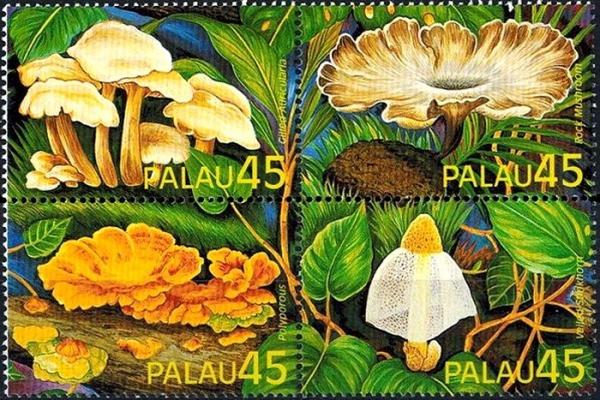 Colnect-2932-935-Exotic-Mushrooms.jpg
