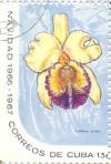 Colnect-2506-624-Cattleya-dowiana-var-Aurea.jpg