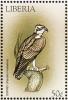 Colnect-1641-835-Osprey-Pandion-haliaetus.jpg