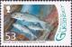 Colnect-4067-308-Thicklip-Grey-Mullet-Chelon-labrosus-.jpg