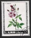 Colnect-1244-777-Rose-des-Indes-commun.jpg
