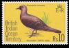 Colnect-1379-310-Malagasy-Turtle-Dove-Streptopelia-picturata.jpg