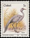 Colnect-1476-726-Blue-Crane-Anthropoides-paradiseus.jpg