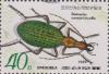 Colnect-1491-247-Ground-Beetle-Damaster-constricticollis.jpg