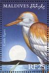 Colnect-1631-381-Cattle-Egret-Bubulcus-ibis.jpg