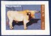 Colnect-1985-998-Junqueir-Cattle-Bos-nbsp-primigenius-taurus.jpg