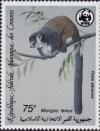 Colnect-2313-047-Mongoose-Lemur-Eulemur-mongoz.jpg