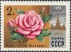 Colnect-2809-635-Rose--Moscow-morning-.jpg
