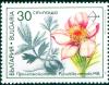 Colnect-4290-226-Spring-Pasque-Flower-Pulsatilla-vernalis.jpg