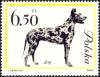 Colnect-4481-241-Great-Dane-Canis-lupus-familiaris.jpg