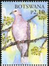 Colnect-5250-732-Red-eyed-Dove-Streptopelia-semitorquata-.jpg