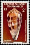 Colnect-853-935-Snowflake-Cone-Conus-floccatus.jpg
