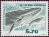 Colnect-877-523-Fin-Whale-Balaenoptera-physalus.jpg