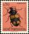 Colnect-4421-146-Carabid-Beetle-Craspedophorus-brevicollis.jpg