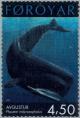 Colnect-158-091-Sperm-Whale-Physeter-macrocephalus.jpg