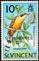 Colnect-1753-947-Mangrove-Cuckoo-Coccyzus-minor.jpg