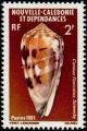 Colnect-853-935-Snowflake-Cone-Conus-floccatus.jpg