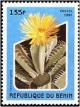 Colnect-2091-971-Faucaria-lupina.jpg
