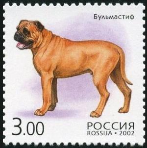 Colnect-6246-579-Bull-Mastiff-Canis-lupus-familiaris.jpg
