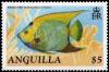Colnect-2770-291-Queen-Angelfish-Holacanthus-ciliaris-.jpg