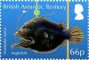 Colnect-3716-133-Anglerfish-Oneirodes-notius-.jpg