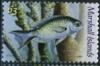 Colnect-6016-170-Spotted-Goatfish-Pseudupeneus-maculatus.jpg