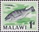 Colnect-1938-702-Chambo-Fish-Orechromis-lidole.jpg