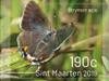 Colnect-6064-875-Butterflies-of-Sint-Maarten.jpg