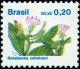 Colnect-5198-659-Brazilian-Flora-Quiabentia-zehntneri.jpg