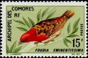 Colnect-787-726-Red-headed-Fody-Foudia-eminentissima.jpg