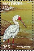 Colnect-4201-287-African-spoonbill.jpg