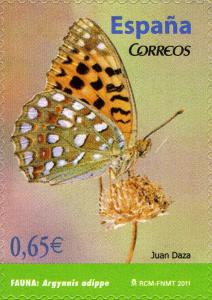 Colnect-704-793-High-Brown-Fritillary-Argynnis-adippe.jpg