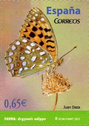 Colnect-704-793-High-Brown-Fritillary-Argynnis-adippe.jpg