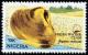 Colnect-3866-220-Freshwater-clam.jpg