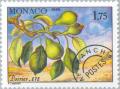 Colnect-149-265-Branch-of-a-pear-tree-in-Summer.jpg