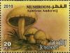 Colnect-1815-308-Agaricus-Anderwij.jpg