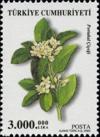 Colnect-965-332-Orange-Citrus-aurantium.jpg