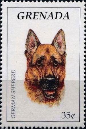 Colnect-4569-567-German-shepherd.jpg