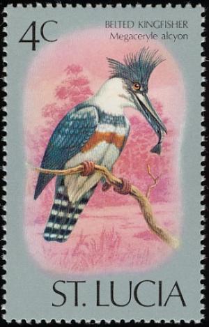 Colnect-1506-963-Belted-Kingfisher-Megaceryle-alcyon.jpg