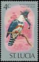 Colnect-1506-963-Belted-Kingfisher-Megaceryle-alcyon.jpg