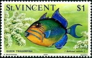 Colnect-5856-972-Queen-Triggerfish-Balistes-vetula.jpg