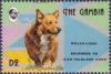 Colnect-2592-890-Welsh-Corgi-Canis-lupus-familiaris.jpg