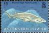 Colnect-2985-101-Bluntnose-Sixgill-Shark-Hexanchus-griseus.jpg