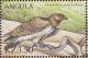 Colnect-1240-336-Martial-Eagle-Polemaetus-bellicosus.jpg