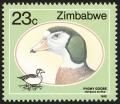 Colnect-2343-042-African-Pygmy-goose-Nettapus-auritus.jpg